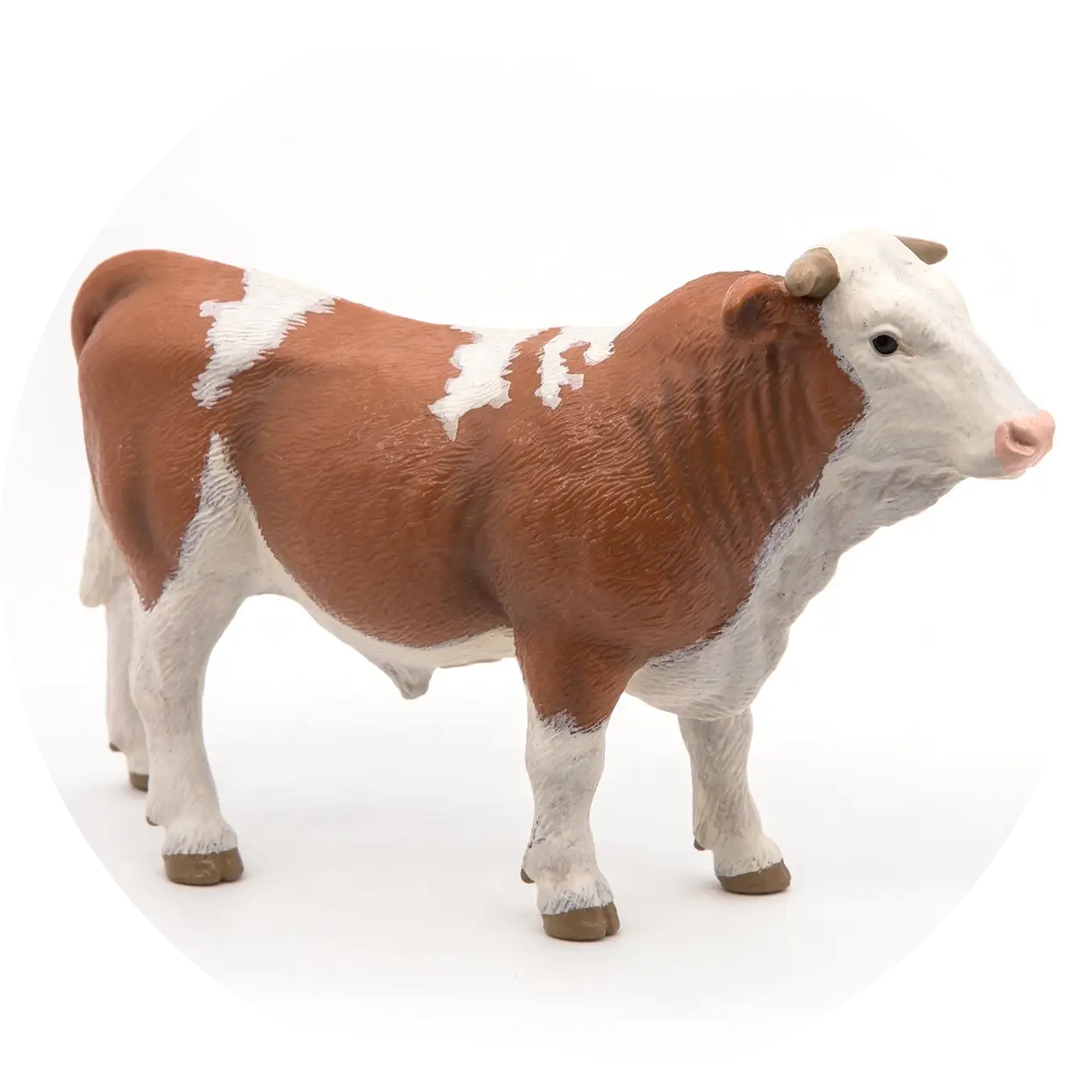 Beeldje Simmentaler  Stier verp 5