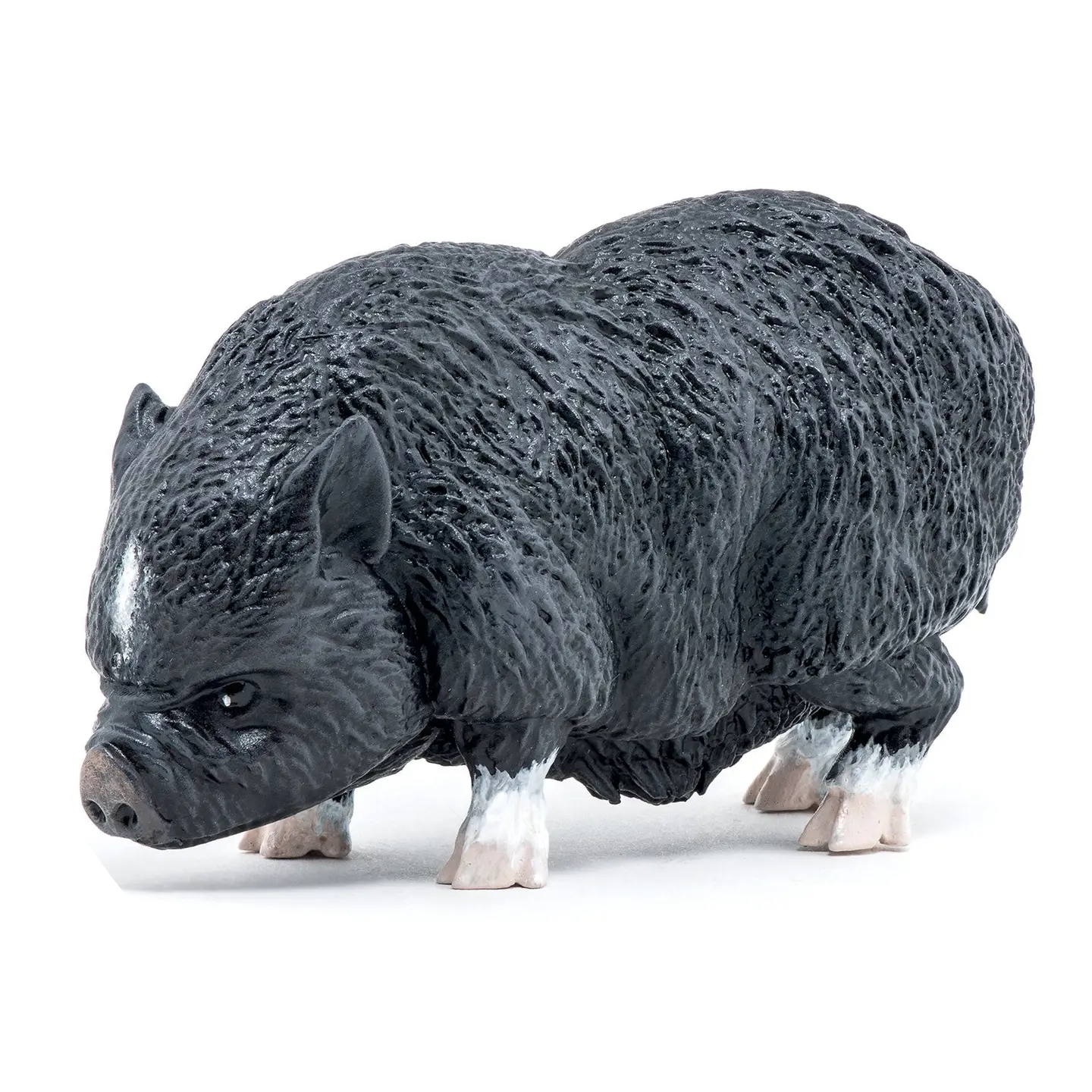 Vietnamees Varkensbeeldje Verp 5
