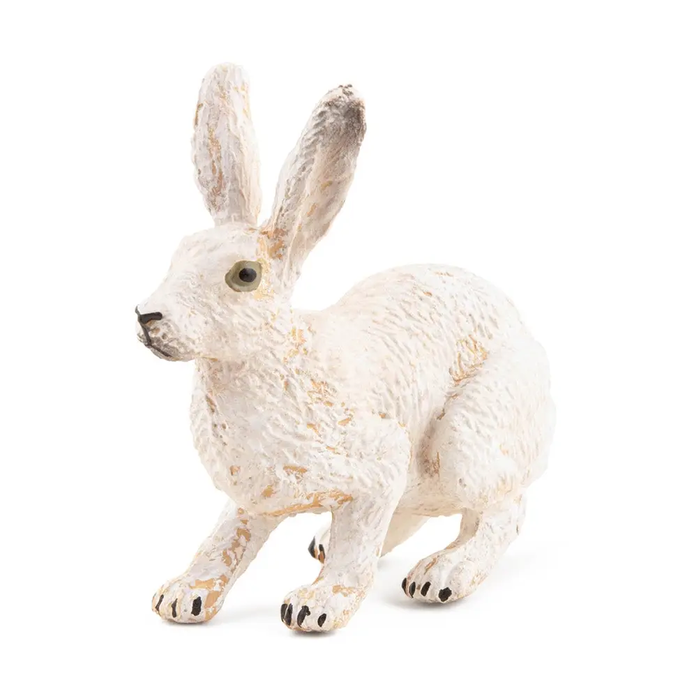 Poolhaasbeeldje Verp 5