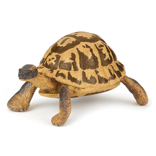 Beeldje van een Hermannschildpad Verp 5