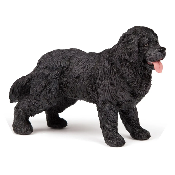 Beeldje van een Newfoundland Verp 5