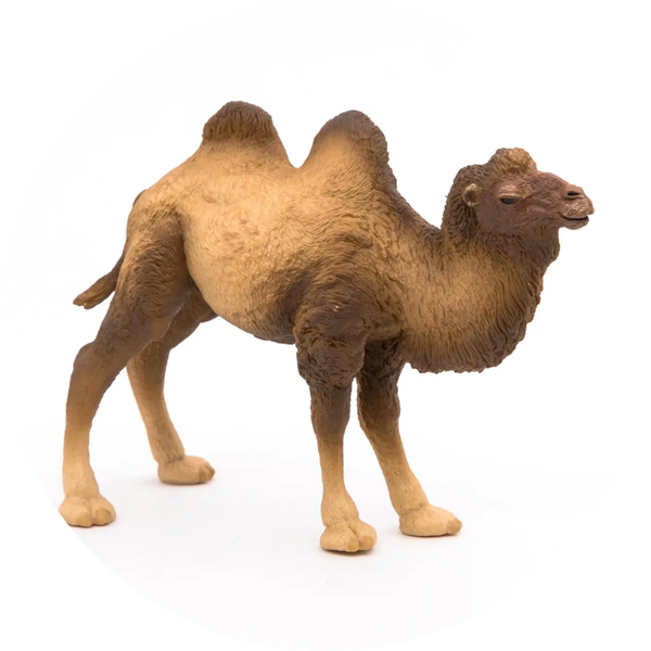 Beeldje van een Bactrische kameel Verp 5