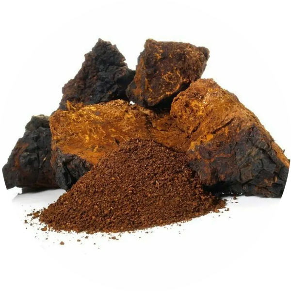 Chaga paddenstoelenpoeder, 1 oz. Verp 12