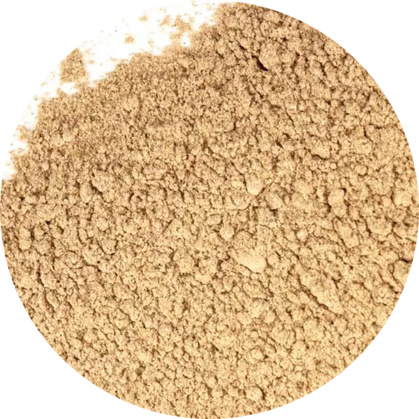 Paardebloemwortelpoeder, 1 oz. Verp 12