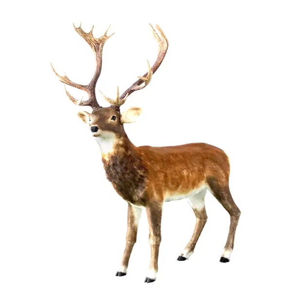 Animals – Rendier hert Rudolph 147 × 35 × 180 cm