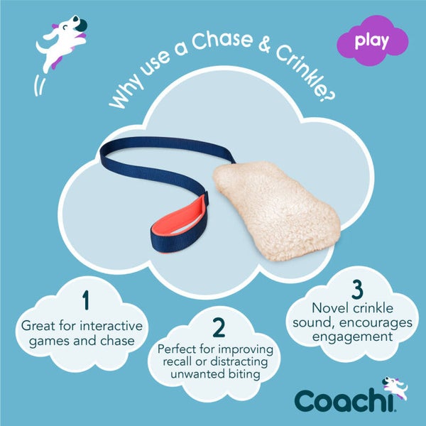 Coachi Chase & Crinkle Navy, Coral & Faux Lambswool