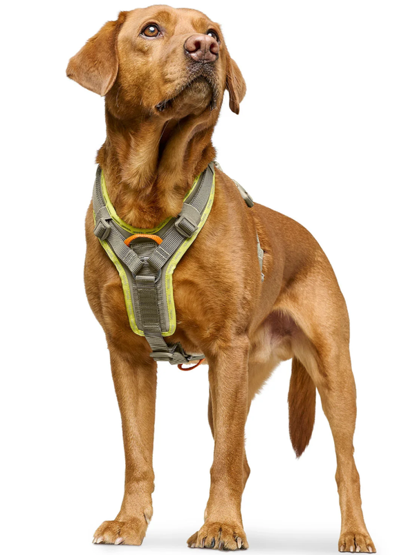 Hunter Harness ErgoMove Pro™