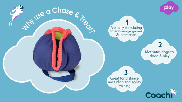 Coachi Chase & Treat Navy, Lime & Coral