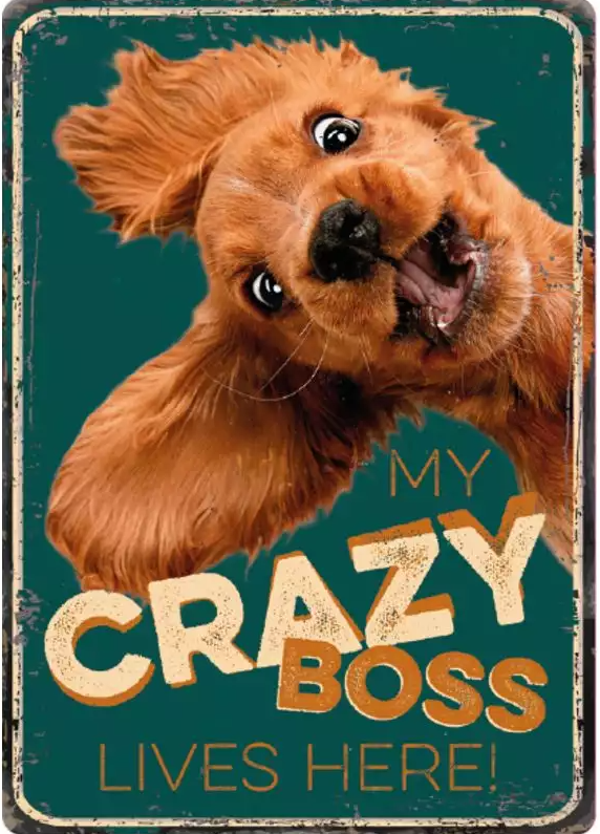 My crazy Boss  Waakbord