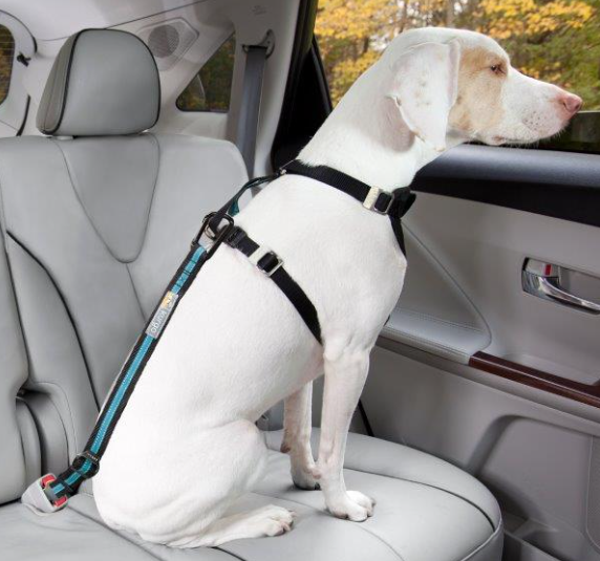 Kurgo Direct to Seatbelt Tether (VP), Coastal Blue