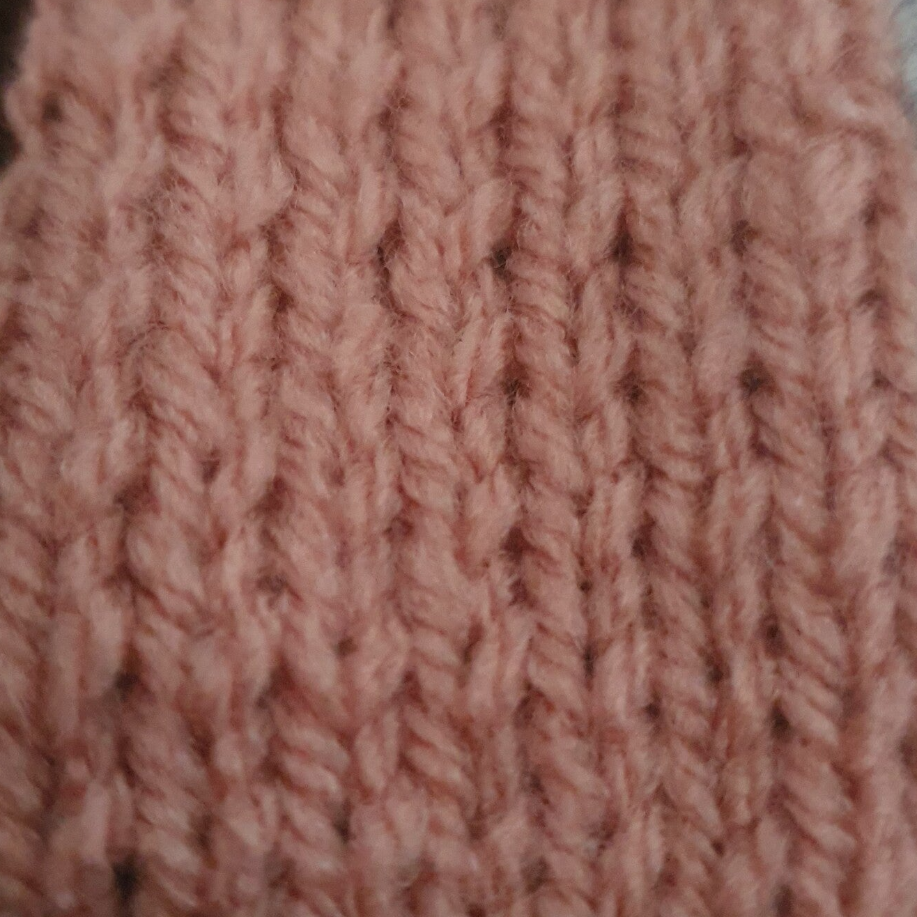 Rose 1