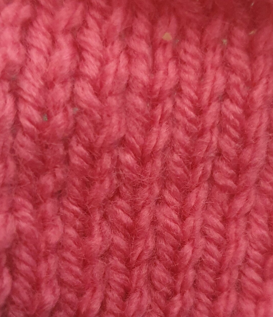 Rose 4