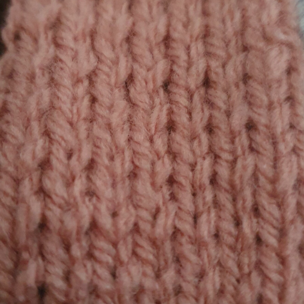 Rose 1