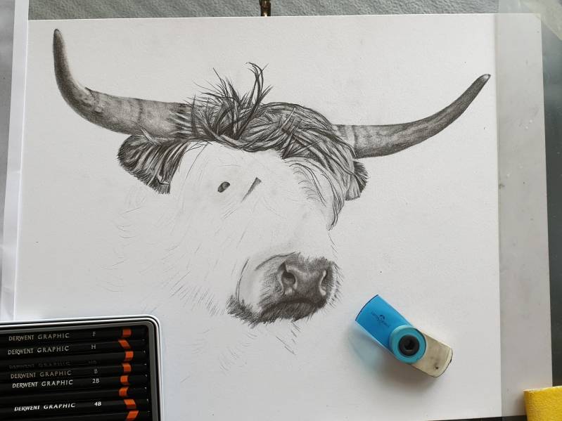 Het schiet al een beetje op