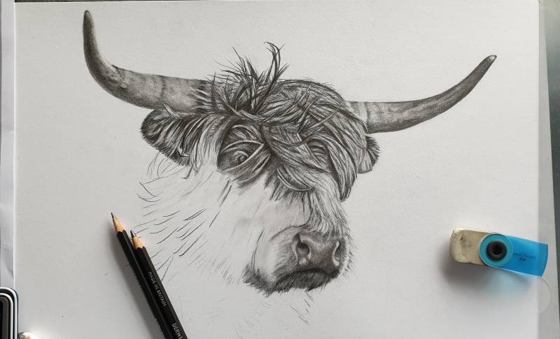 Begint er op te lijken