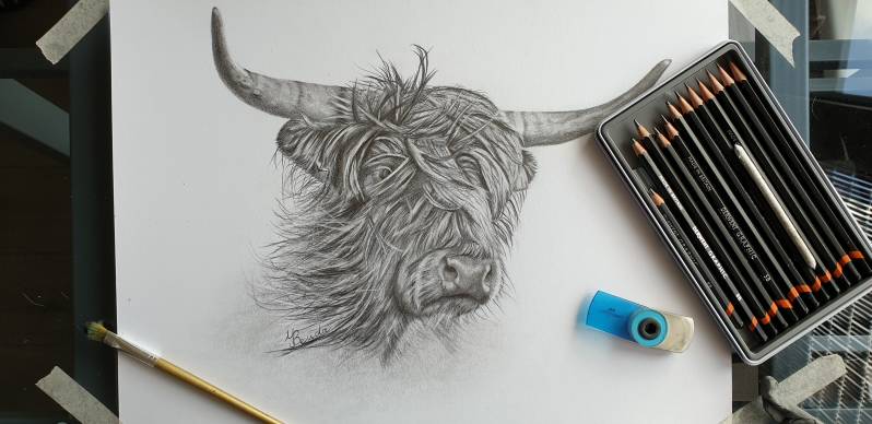 Dat is hem dan geworden