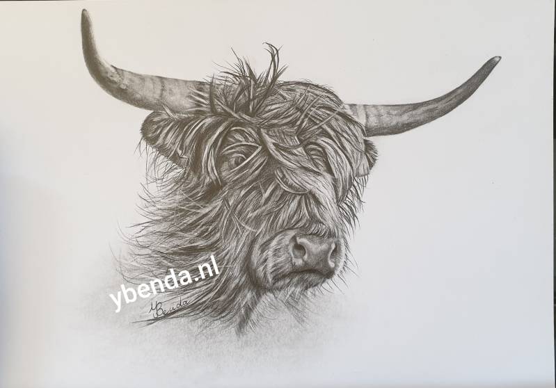 Dit is dan het eindresultaat van de tekening      t 