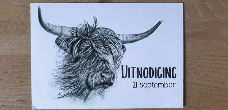 Mijn tekening gebruikt op de uitnodiging.