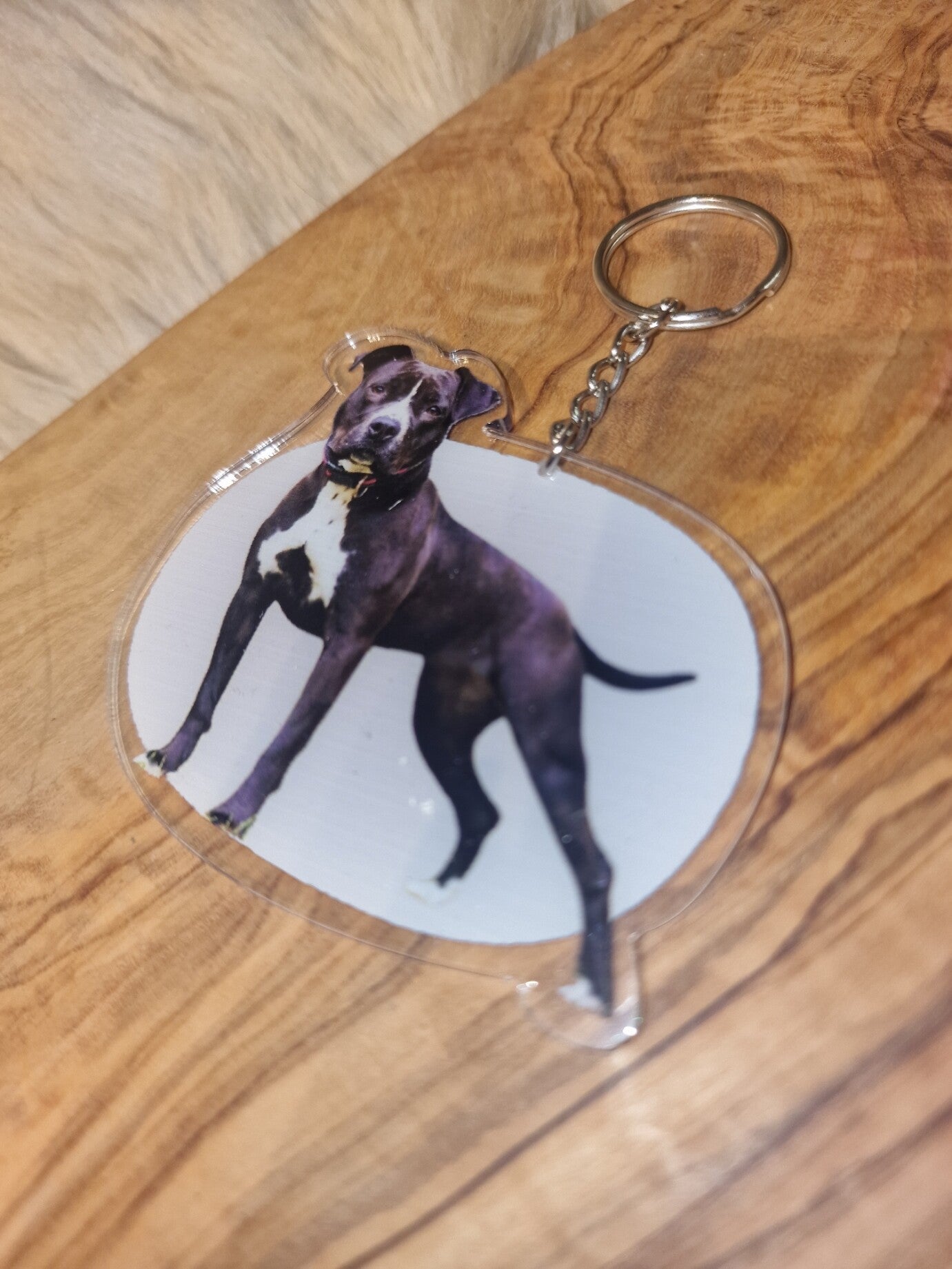 Honden sleutelhanger pitbull