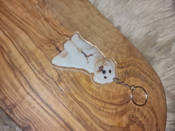 honden sleutel hanger  Maltezer