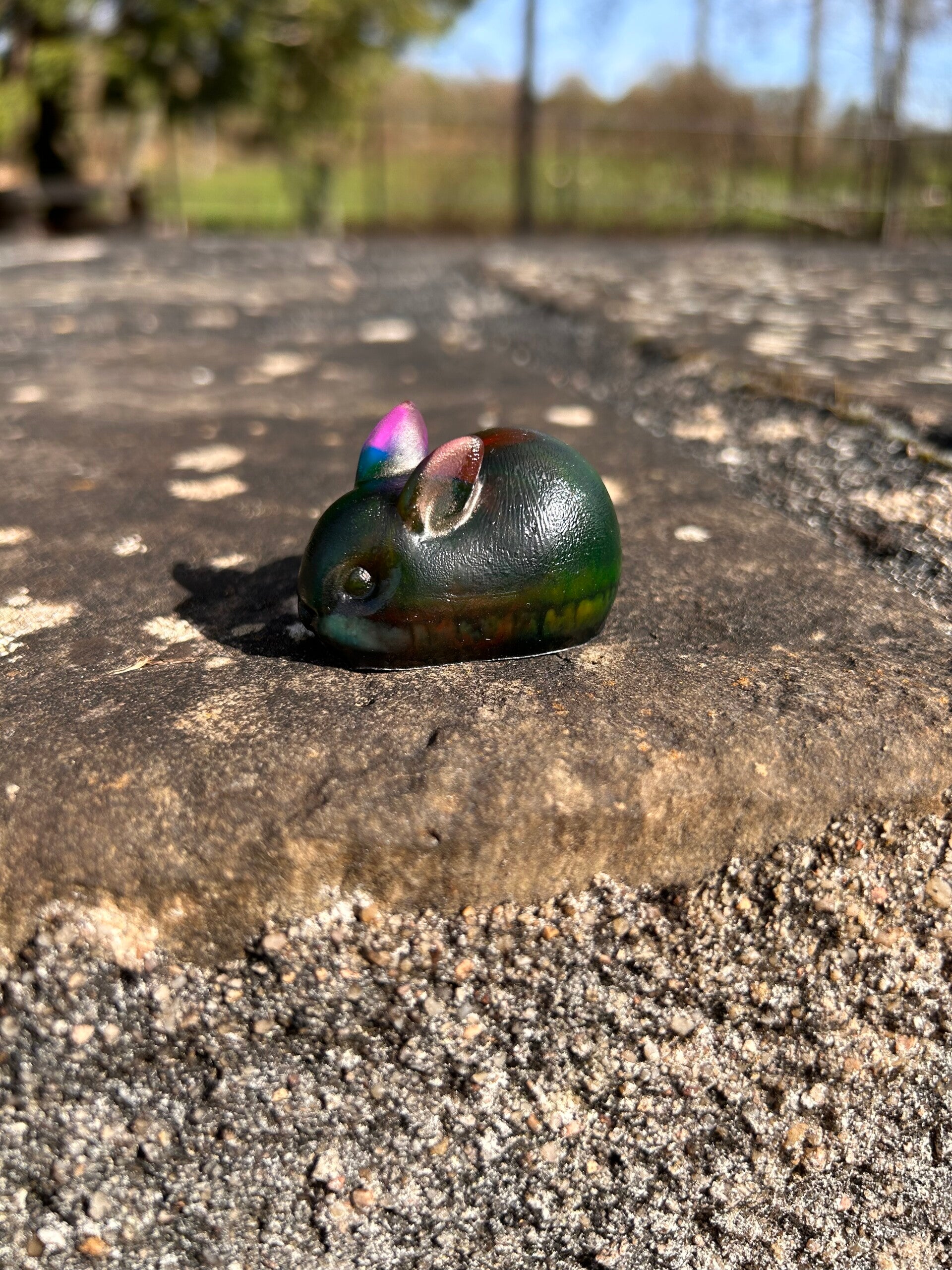 Lapin