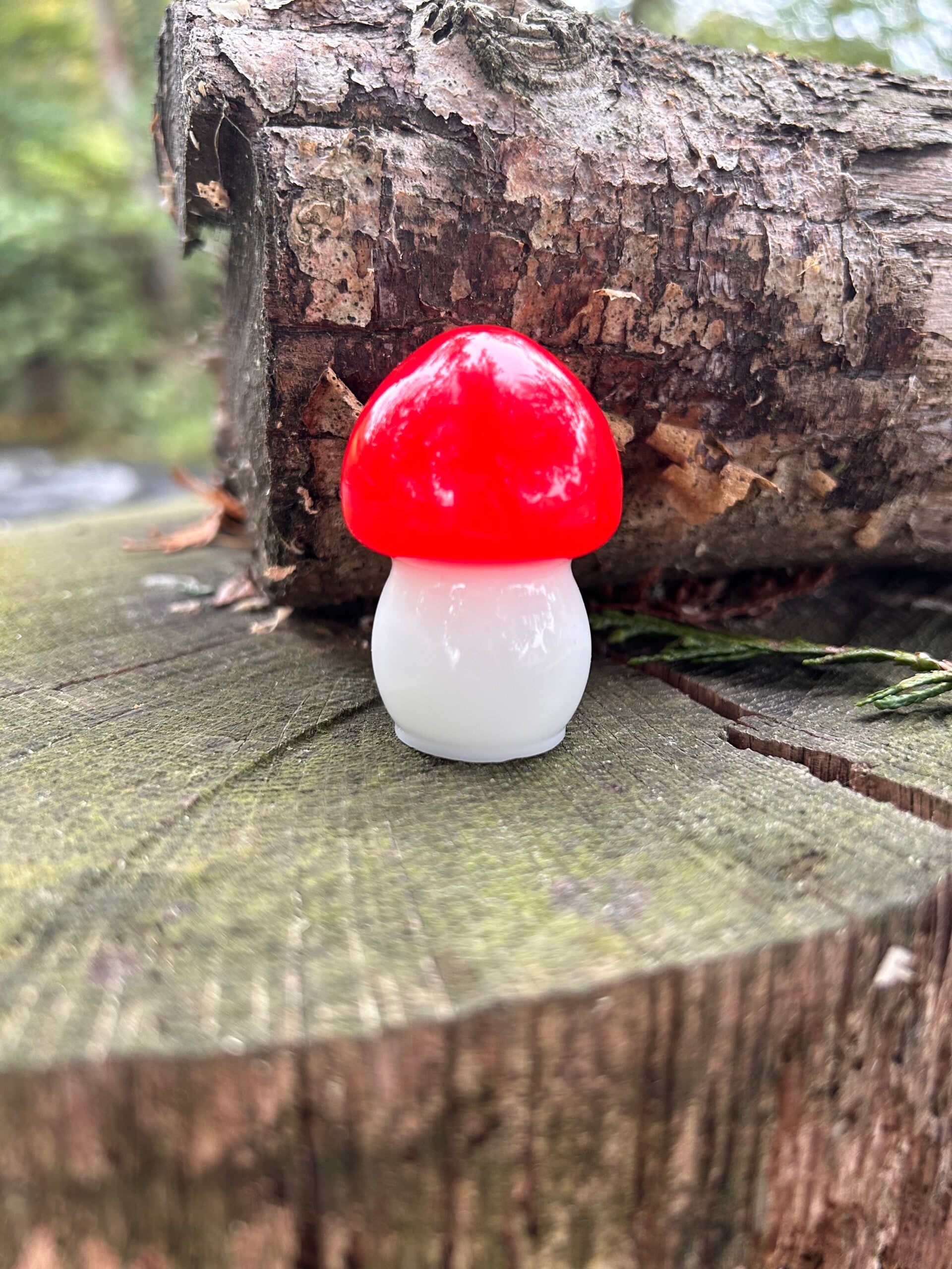 Champignon