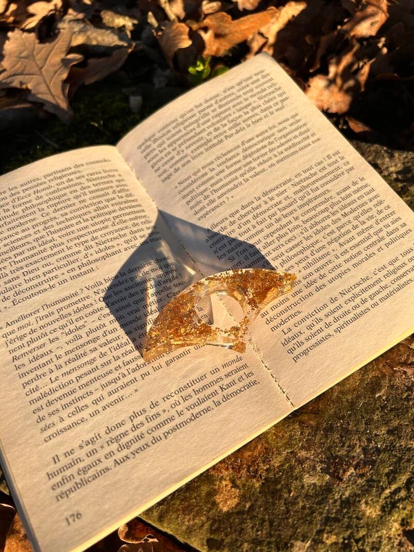 Bague de lecture