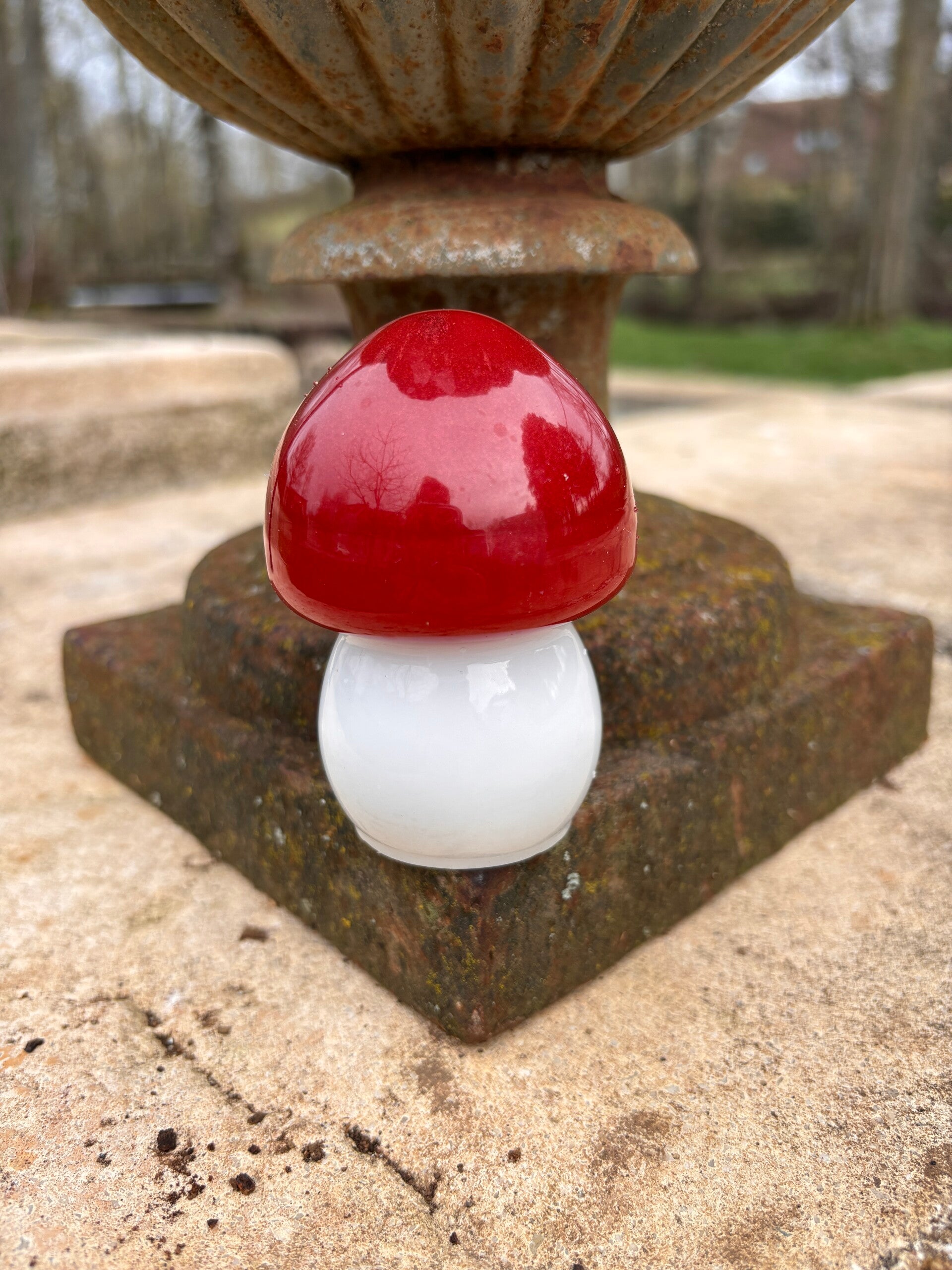 Champignon XXL