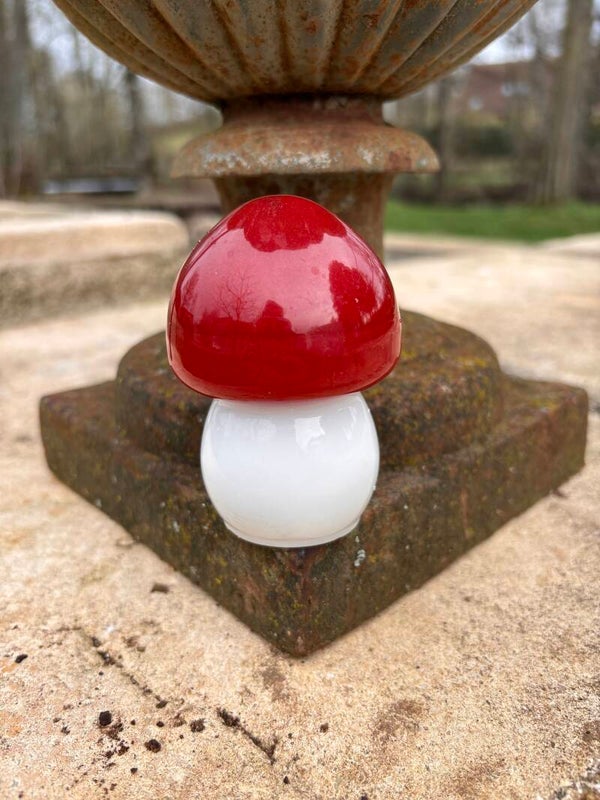 Champignon XXL