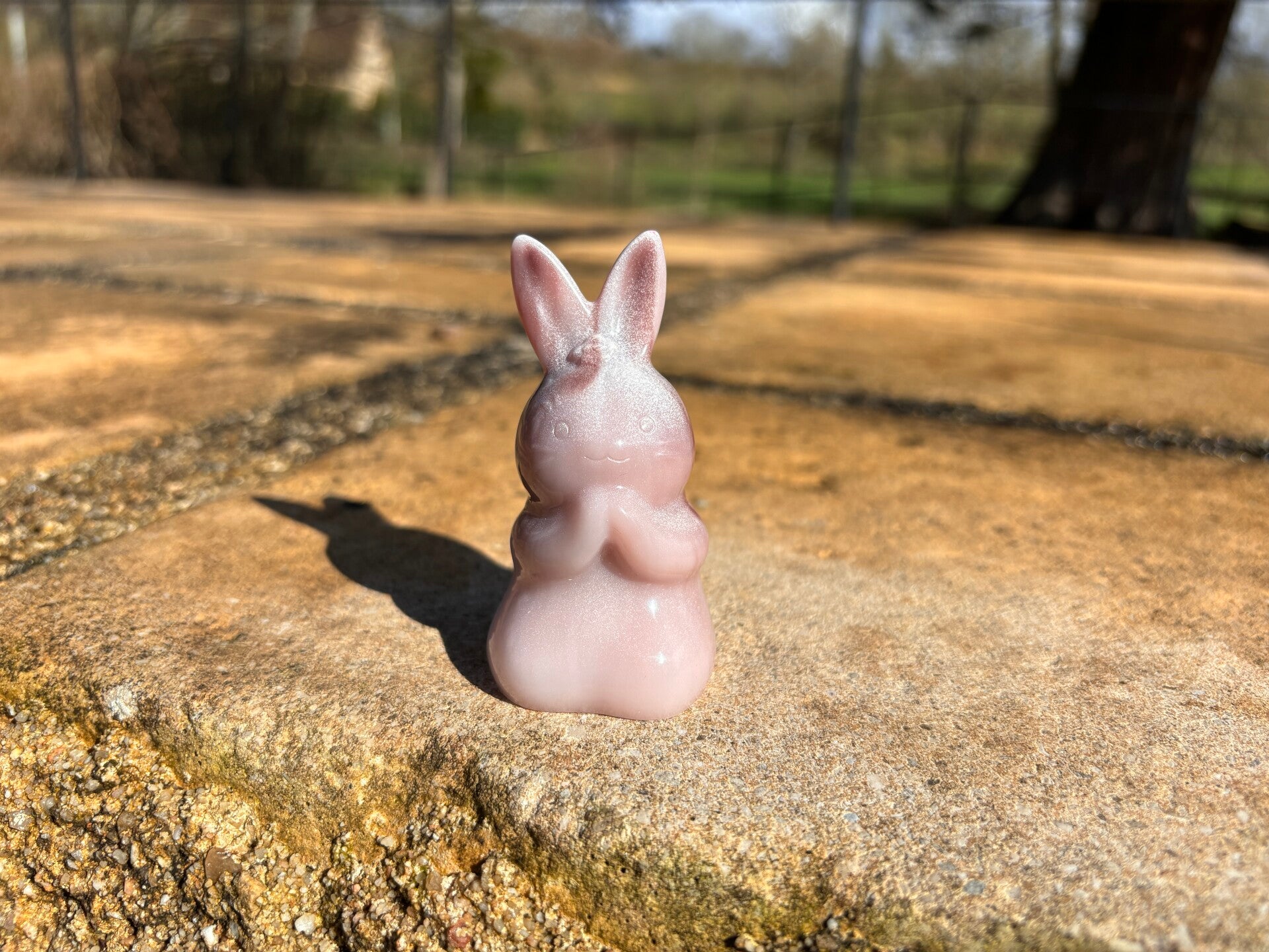 Lapin