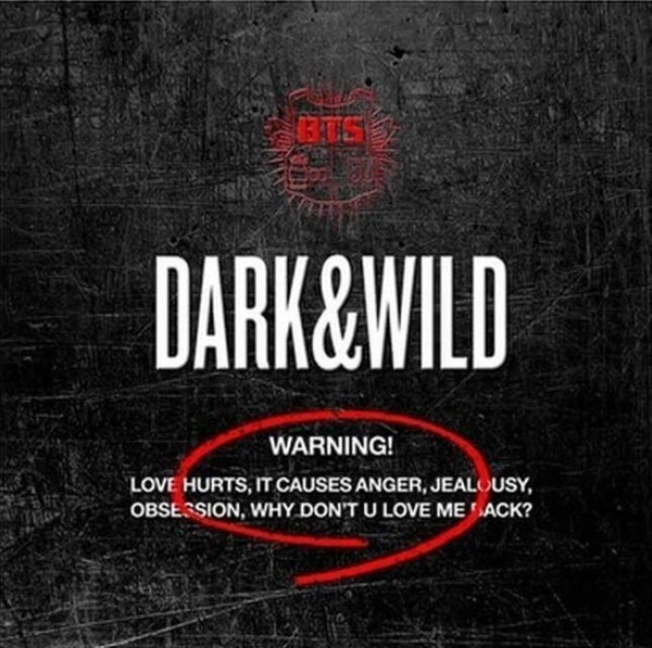 BTS Dark & Wild (Vol.1) CD