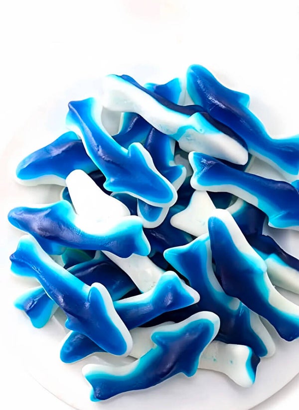 blue sharks small 300 grams