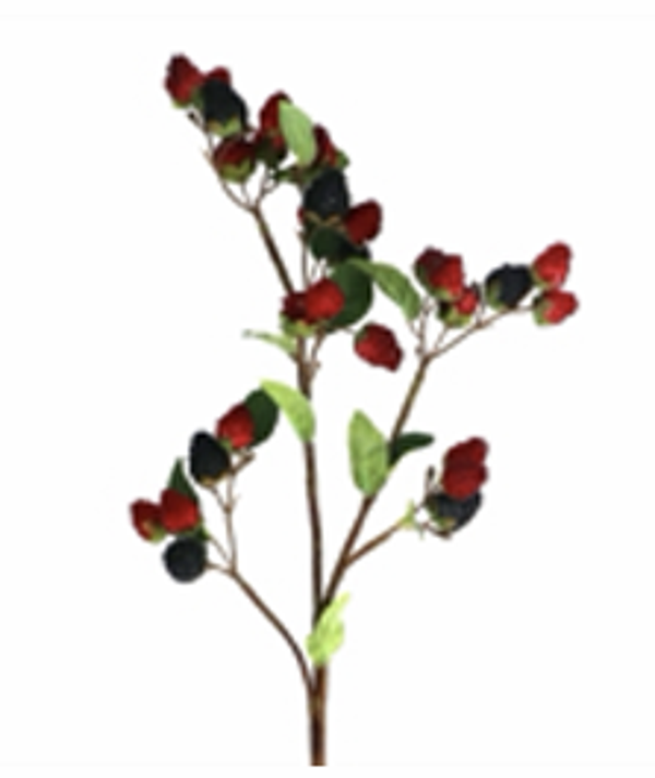 Framboos Braam Steel, (LxB) 81x17 - Gisela Graham