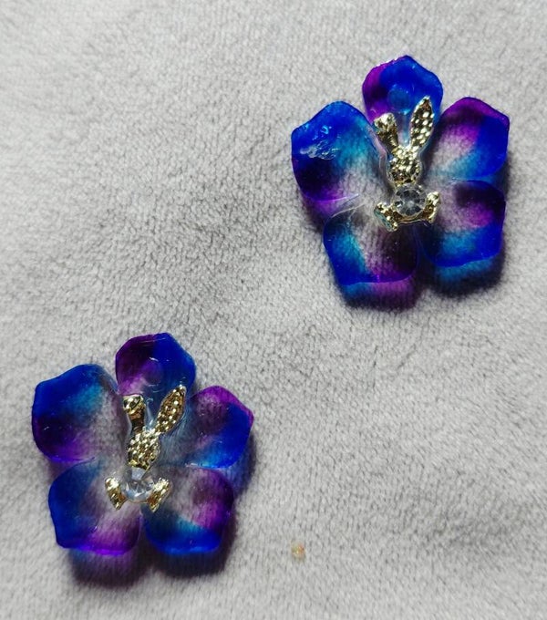 Petites pétunia