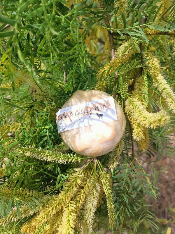 Jabón artesanal de leche de cabra y miel de mezquite