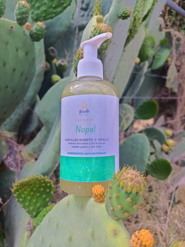 Shampoo de nopal