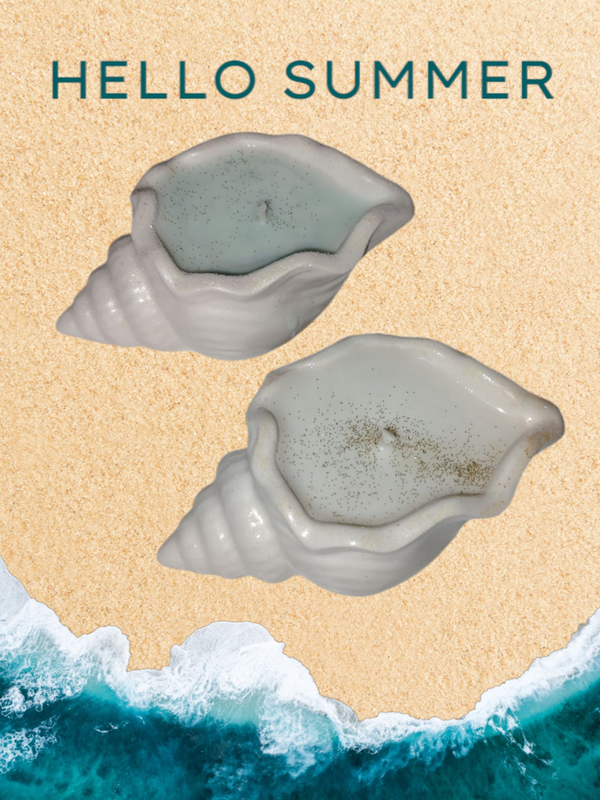 Petit coquillage