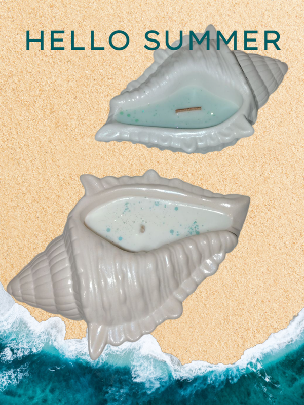 Gros coquillage