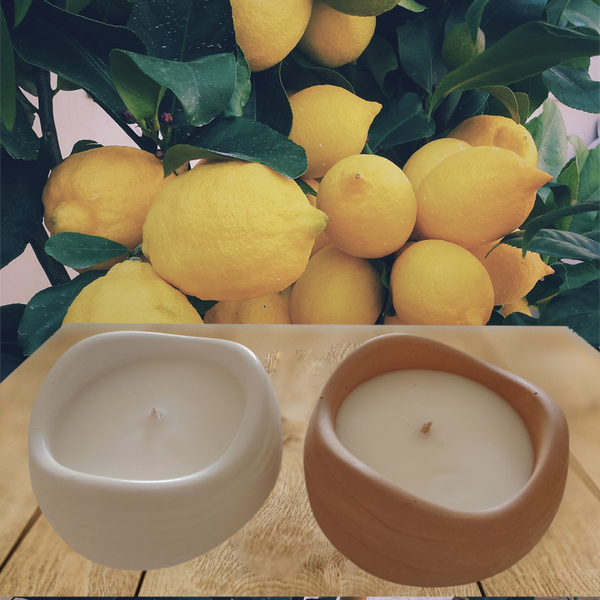 Bougie citronnelle géranium