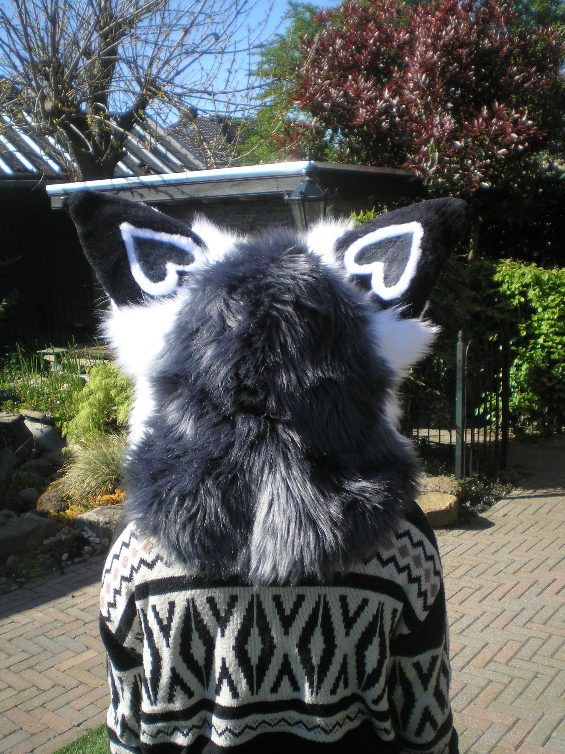 Neo the fennec fox commission  - Headbase by Nukecreations, hood pattern by Lopsoflove.studios.