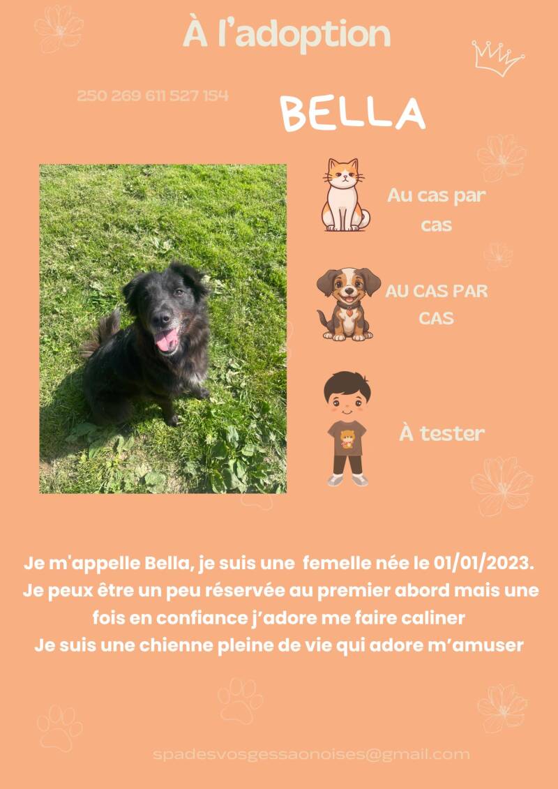 bella-standard.jpg