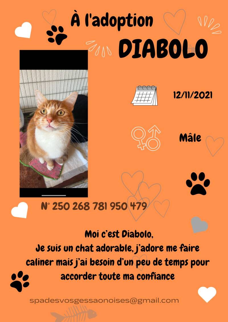 diabolo-standard.jpg