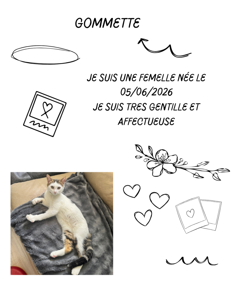 gommette-standard.png