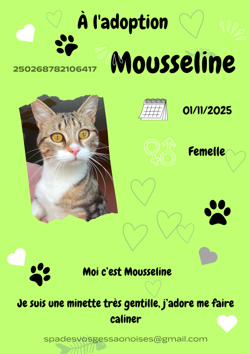mousseline-1-standard.png