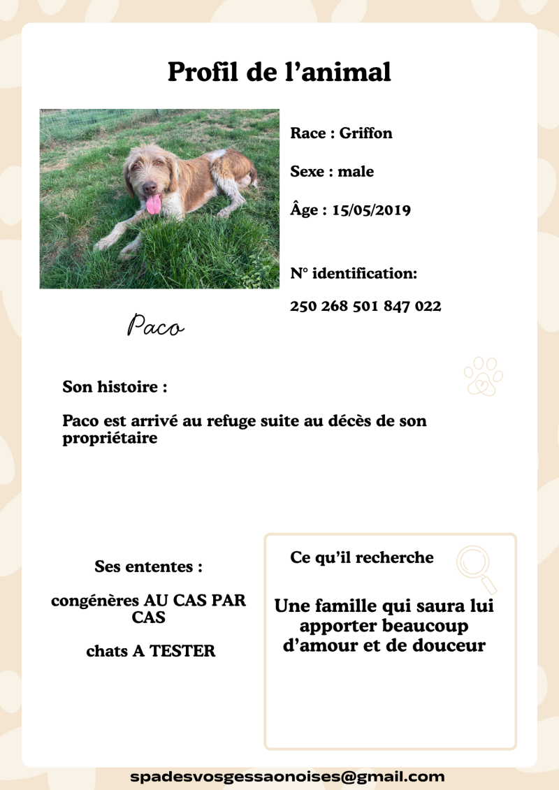 paco-standard.png