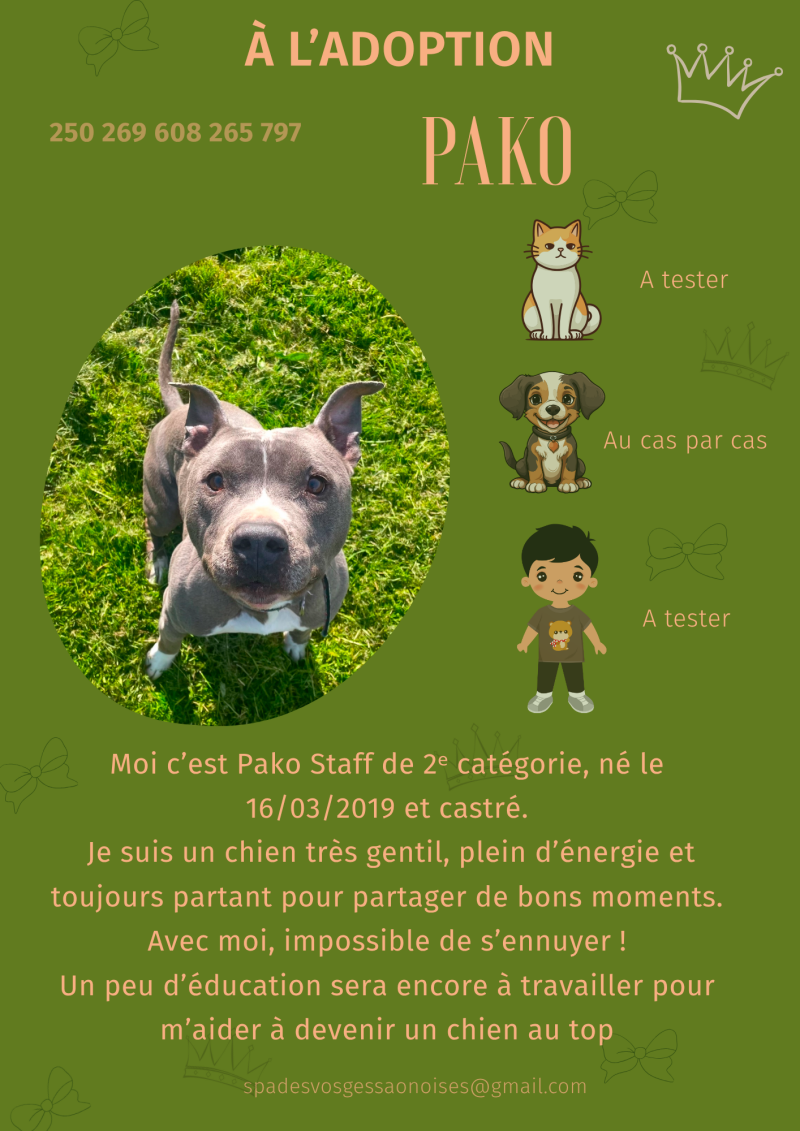 pako-standard.png