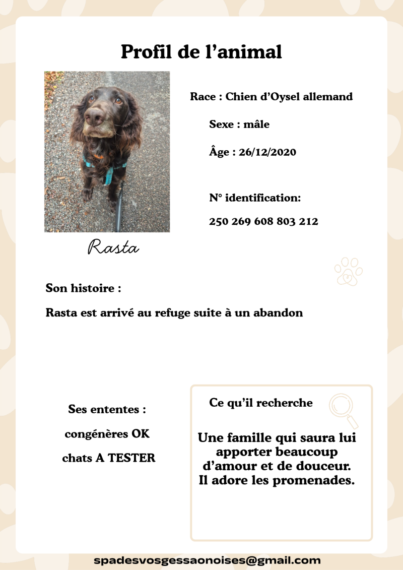 rasta-standard.png