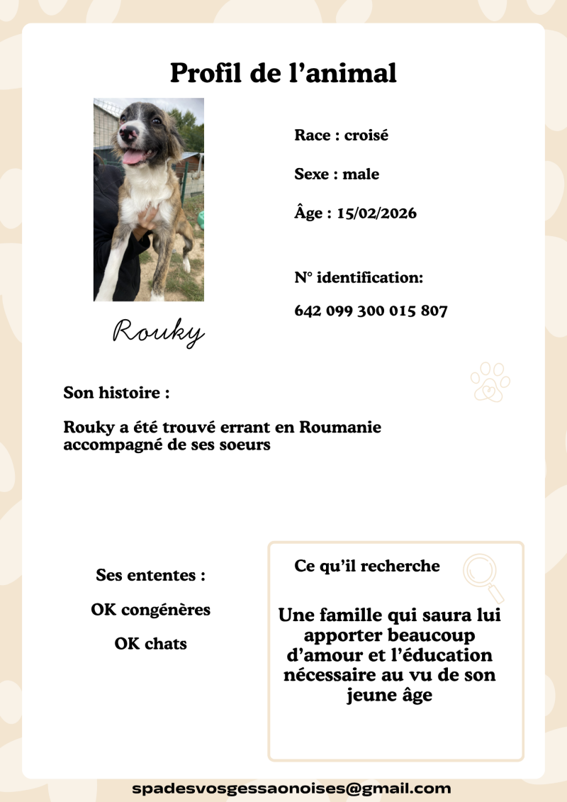 rouky-standard.png