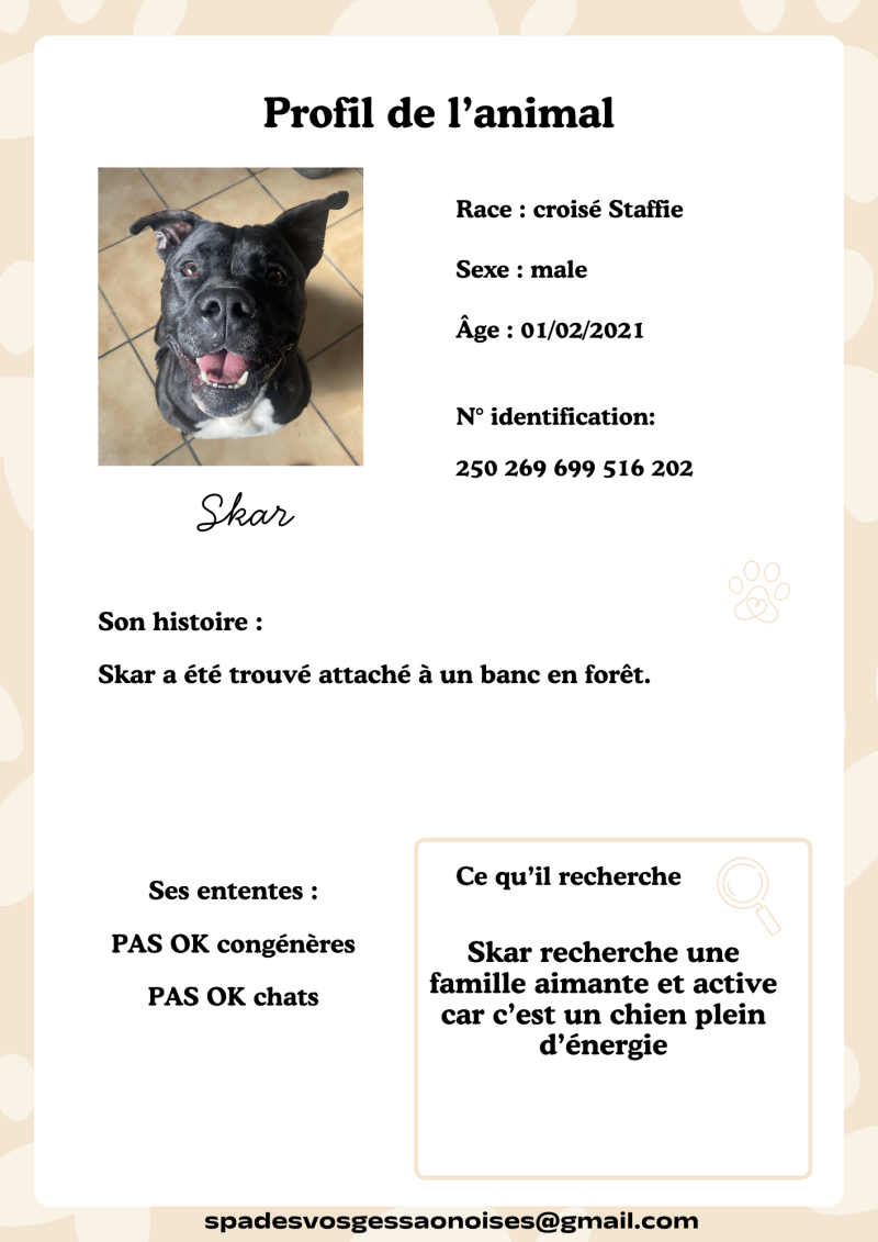 skar-standard.png