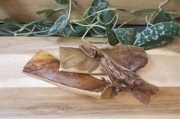 Kameel kophuid 15 cm